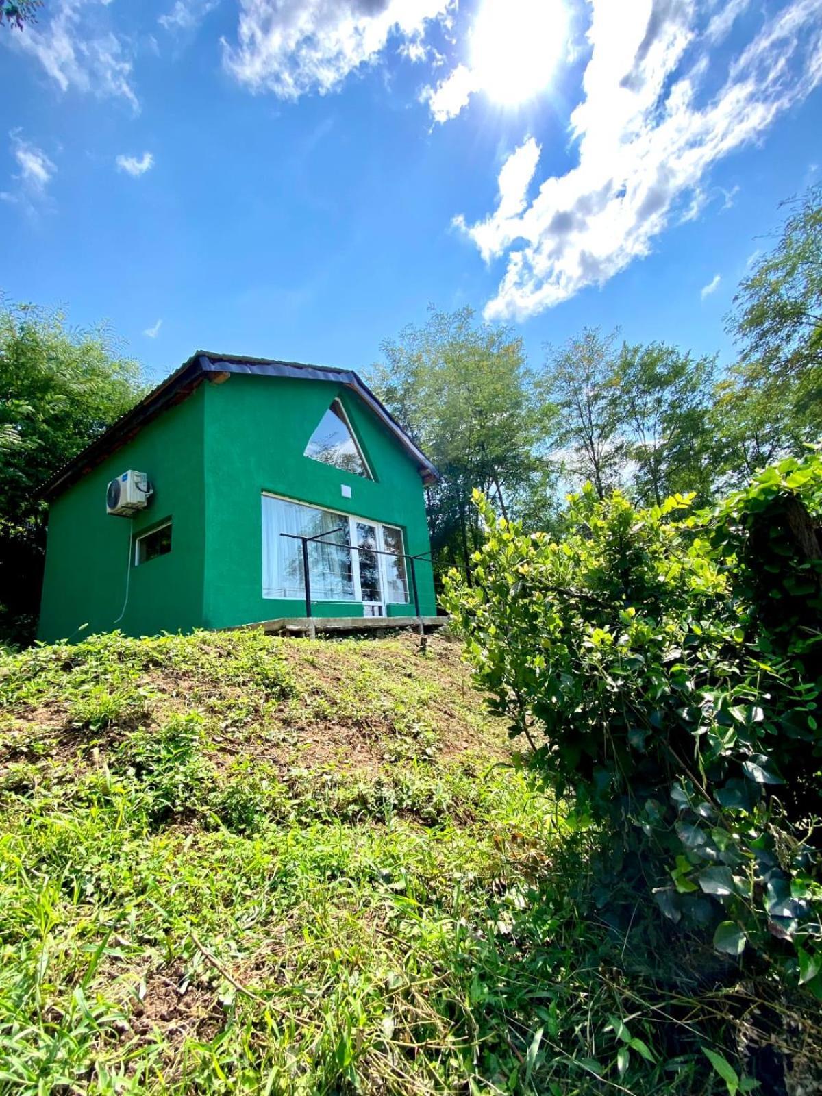 Green House Kutaisi Dış mekan fotoğraf